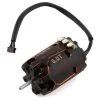 Trinity Revtech Phenom Series "X Factor" Modified Brushless Motor (6.0T)